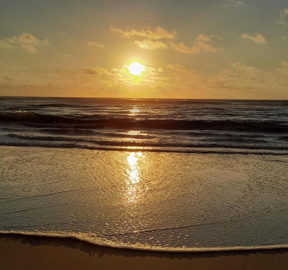 Casa Chanel Figueira da Foz Dış mekan fotoğraf